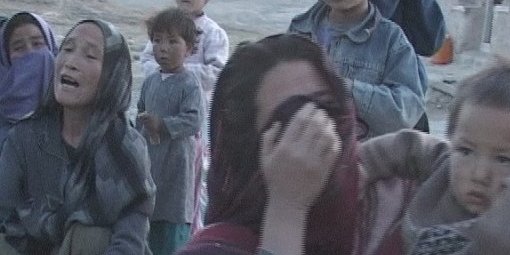  بهار، فصل جنایت کوچی در بهسود؛ امتیازدهی حکومت به کوچیان دلیل تداوم معضل!