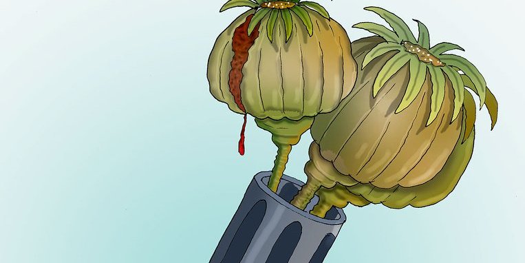 دری ورځنی اوربند په اخترکی دطالبانو له لوری!