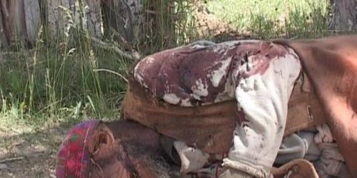 AIHRC grave concern about armed conflict between Kochies and native inhabitants of Behsood district of Maidan Wardak 