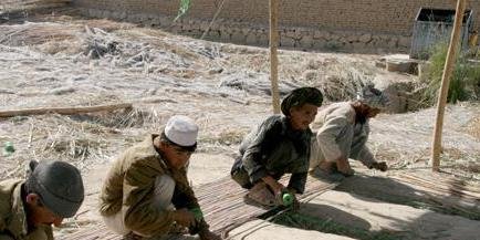 یا مولا علی!