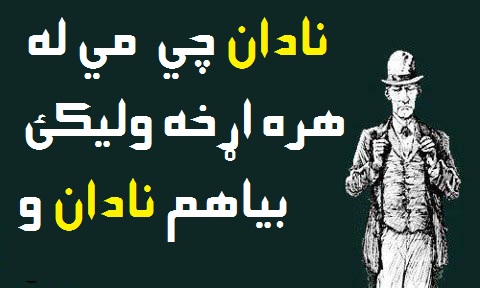 local/cache-vignettes/L480xH288/D986D8A7D8AFD8A7-f6ea0ed4-72768.jpg?1748129865