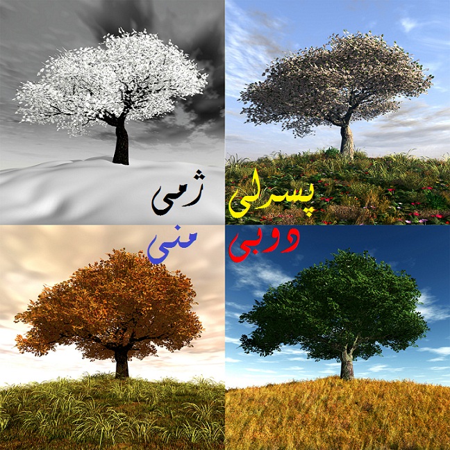 local/cache-vignettes/L648xH648/D987D8B3DAA9-D98-2b77fd0f-0a7ca.jpg?1769368202