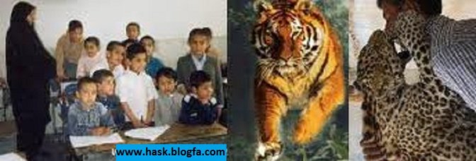 local/cache-vignettes/L672xH228/D987D8B3DAA9-D98-31d1cd1a-0d03d.jpg?1748129778